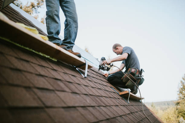 Quick and Trustworthy Emergency Roof Repair Services in Northfield, MN